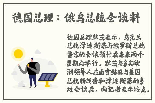 国外幼童小马拉车小男孩